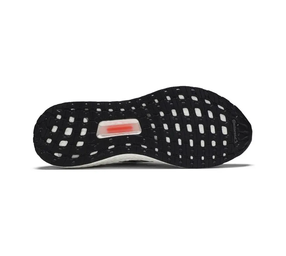 ISS US National Lab 20 Dash Grey